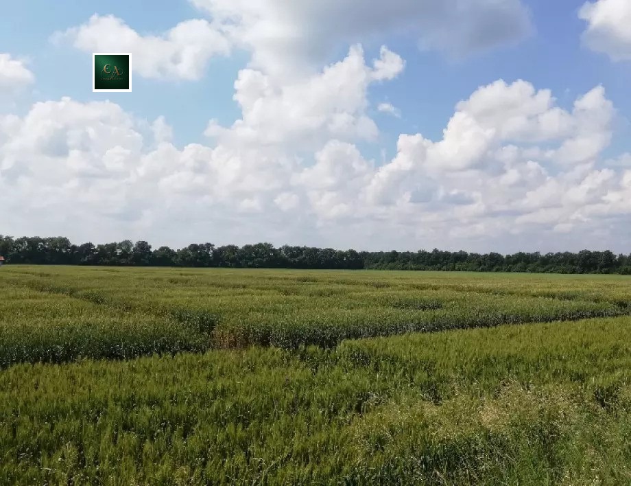 Продава ЗЕМЕДЕЛСКА ЗЕМЯ, гр. Бобошево, област Кюстендил