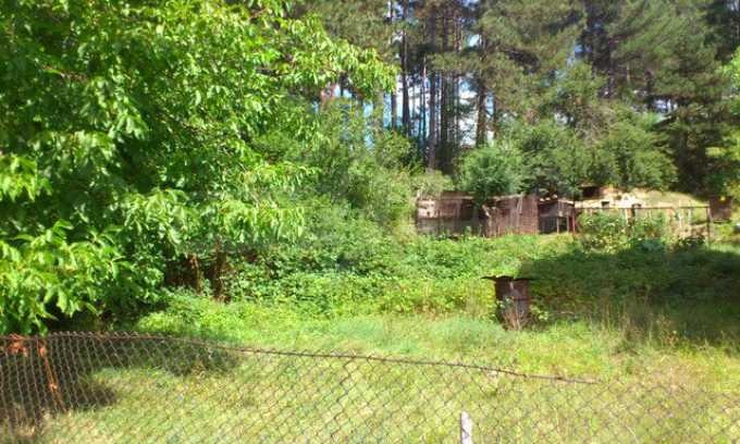 Продава ПАРЦЕЛ | Imot.bg — изображение 1