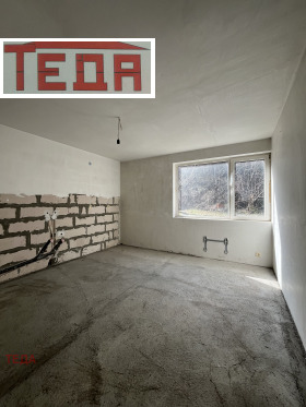 ����� ������� 4-�����,���� �����, ������