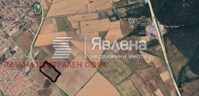 ������ ������� ������