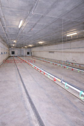 ������� ����. ��������� | Imot.bg � ����� ������ 3