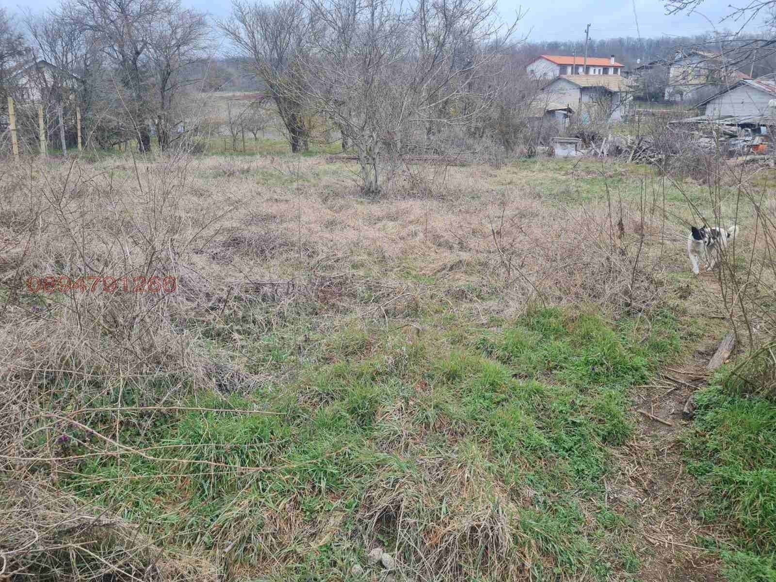 ������� ������ | Imot.bg � ����������� 2