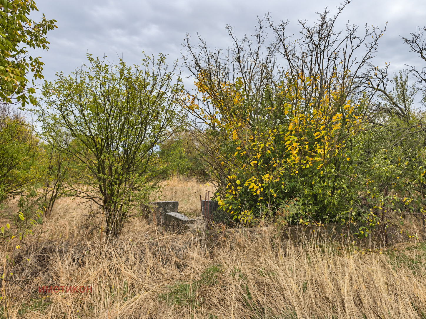 ������� ������ | Imot.bg � ����������� 6