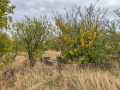 Продава ПАРЦЕЛ, с. Богданово, област Сливен, снимка 6