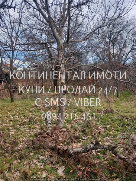 Продаја  Вилла регион Пловдив , Златосел , 150 м2 | 17309787 - слика [2]