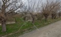 Продава ПАРЦЕЛ, област Пловдив, с. Шишманци • 23000 € • 28235249 — Holmes.bg