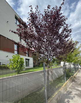  3- | Imot.bg    4
