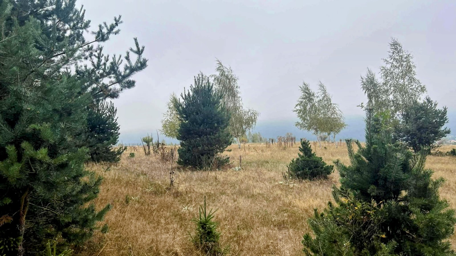 ������� ������ | Imot.bg � ����������� 10