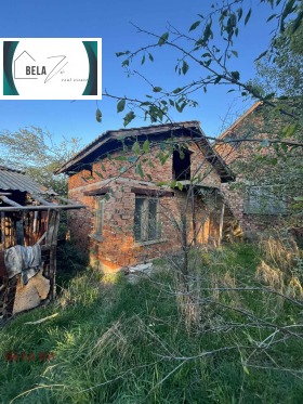 ����� ������� ����,��. �������, ������ ������