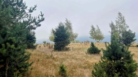 ������� ������ | Imot.bg � ����� ������ 10