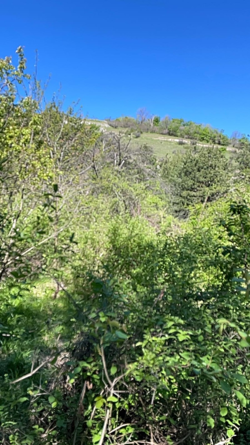 Satılık  Komplo bölge Filibe , Kuklen , 600 metrekare | 50052210 - görüntü [4]