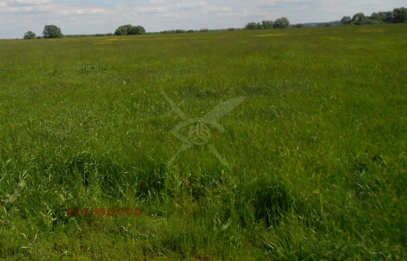 Продава  Парцел, област Пловдив, с. Първенец • 42 500 € • ID 48334173 — holmes.bg - [1] 