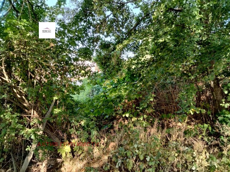 Till salu  Komplott Sofia , Bojana , 720 kvm | 23242528 - bild [3]