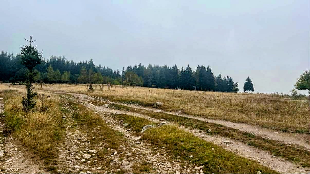 Продава ПАРЦЕЛ, с. Говедарци, област София област, снимка 2 - Парцели - 53884864