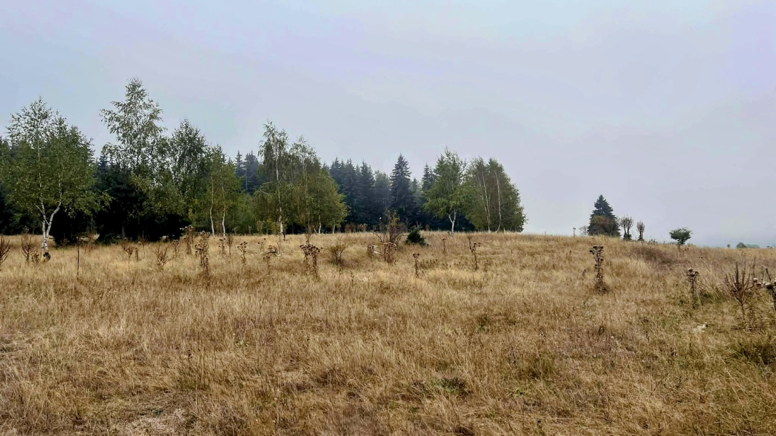 Продава ПАРЦЕЛ, с. Говедарци, област София област, снимка 4 - Парцели - 53884864