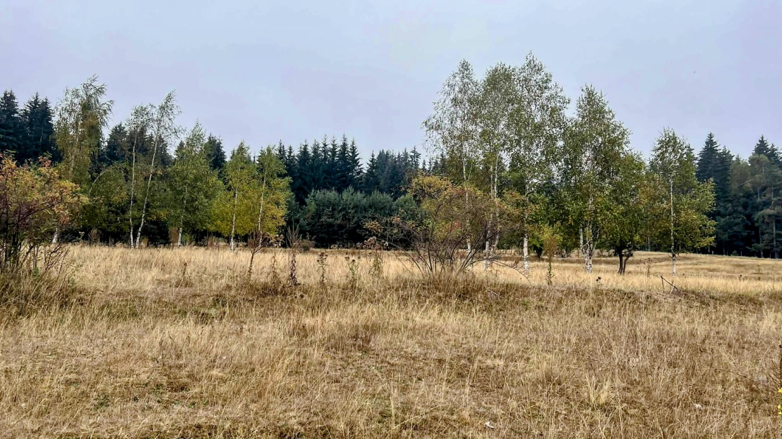 Продава ПАРЦЕЛ, с. Говедарци, област София област, снимка 7 - Парцели - 53884864