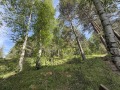 Продава 3-СТАЕН, област Пазарджик, гр. Велинград • 105000 € • 37755568 — Holmes.bg