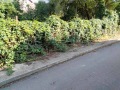 Продава ПАРЦЕЛ, град София, Бояна • 370000 € • 57629919 — Holmes.bg