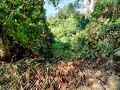 Продава ПАРЦЕЛ, град София, Бояна • 370000 € • 57629919 — Holmes.bg