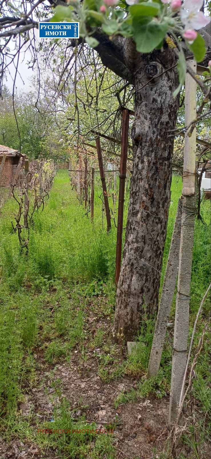 Продава КЪЩА, с. Бабово, област Русе, снимка 15 - Къщи - 54275152