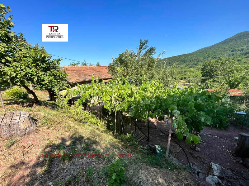 Te koop  Villa regio Pernik , Izvor , 32 m² | 66981828 - afbeelding [4]