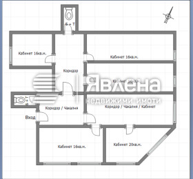 ������ ������� ����