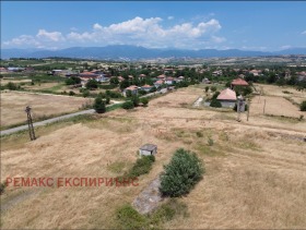 ������ ������� ������