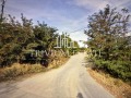 Продава ПАРЦЕЛ, с. Първенец, област Пловдив, снимка 1