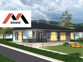 ������ ������� ����