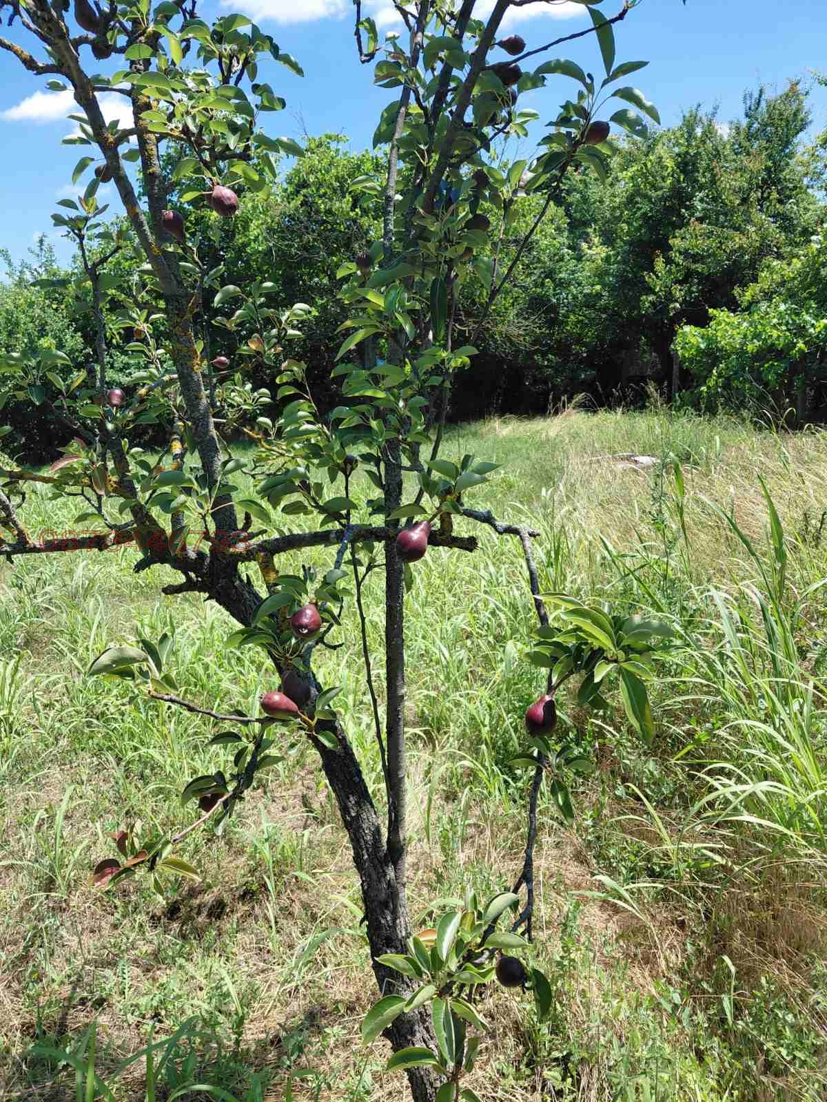 ������� ���� | Imot.bg � ����������� 15