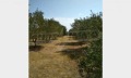Продава ПАРЦЕЛ, Извън страната, област Извън страната, снимка 6