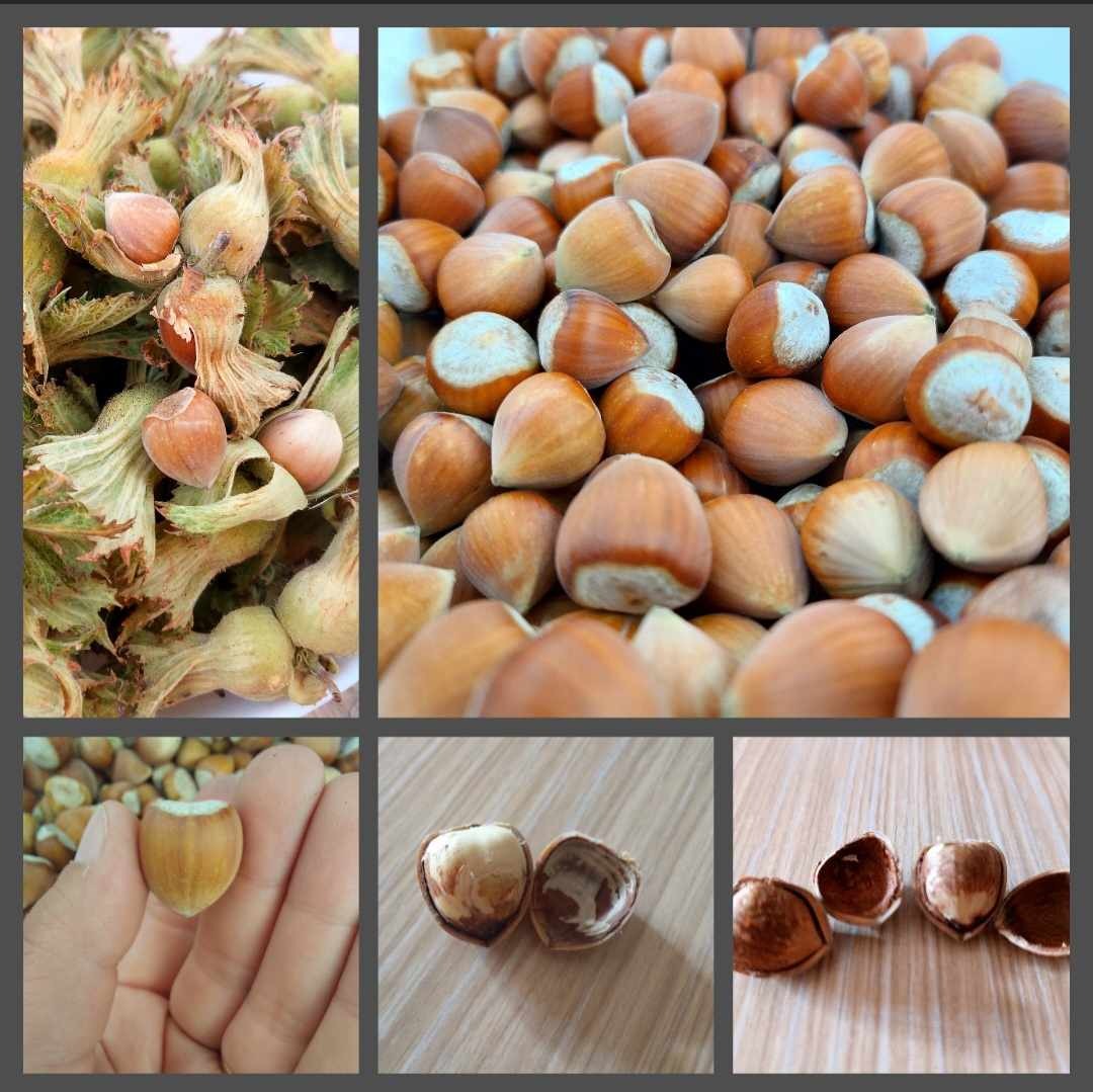 ������� ������ | Imot.bg � ����������� 6
