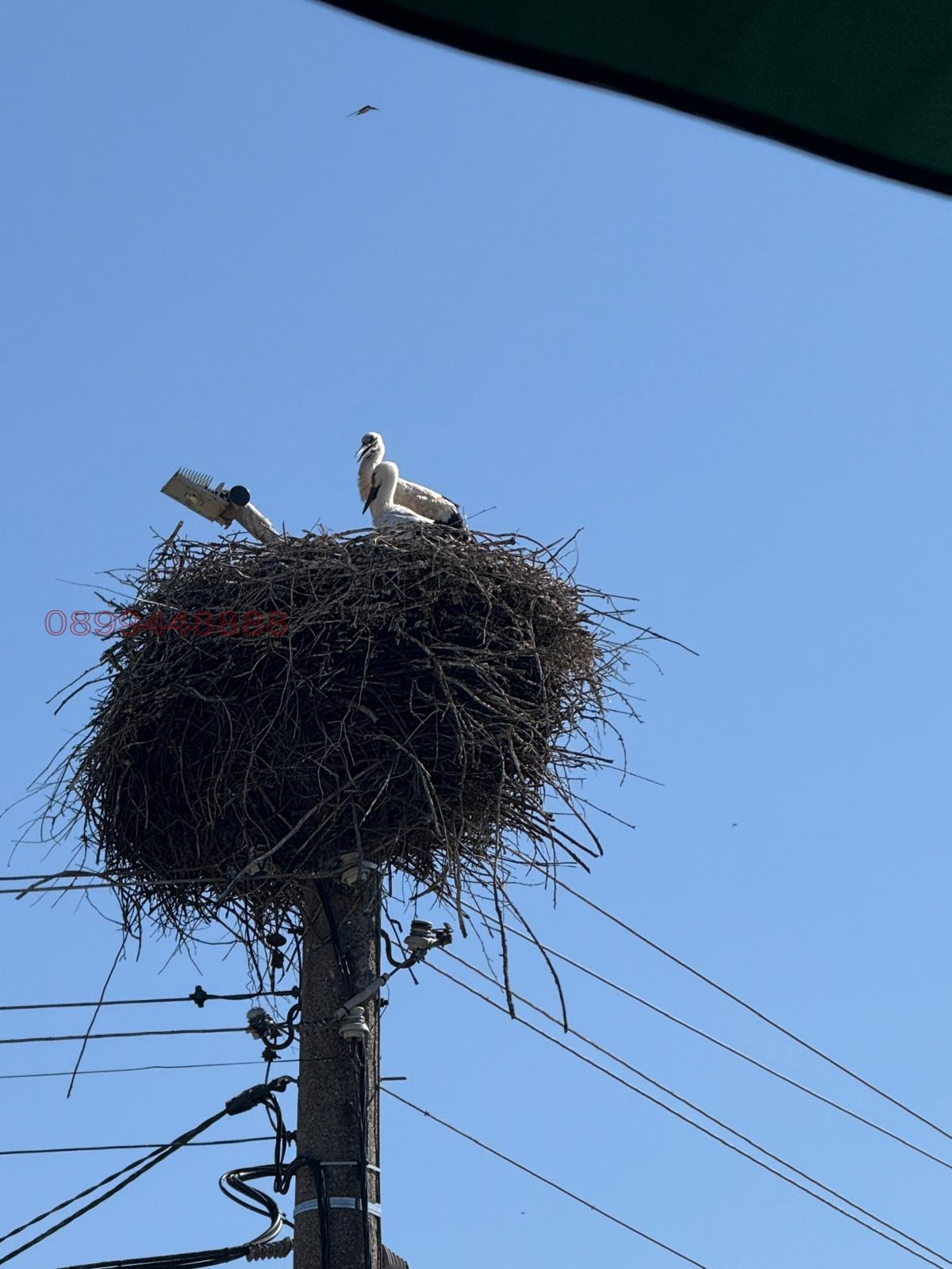 ������� ������ | Imot.bg � ����������� 1