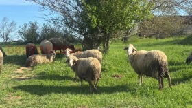 ������� ������ | Imot.bg � ����� ������ 5