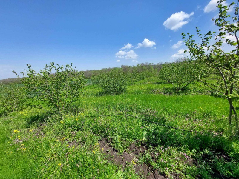 Продава ПАРЦЕЛ, с. Драчево, област Бургас, снимка 5 - Парцели - 53364481