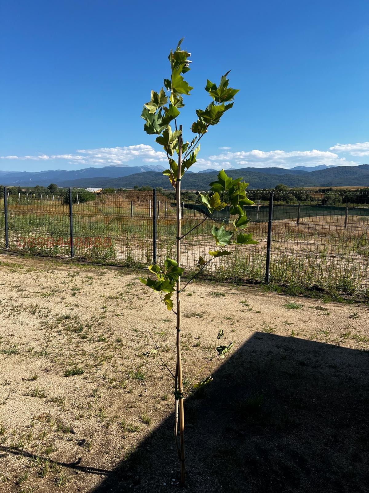 Продава ПАРЦЕЛ, с. Рельово, област София област, снимка 7 - Парцели - 54108129