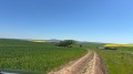Продава ПАРЦЕЛ, с. Малко Шарково, област Ямбол, снимка 3