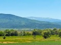 Продава ПАРЦЕЛ, област София, с. Рельово • 74000 € / 144731.42 лв. • 80891409 2