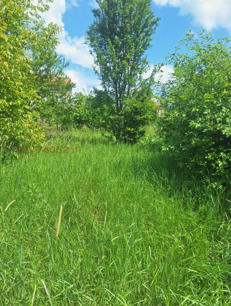 Продава КЪЩА, с. Кошарево, област Перник, снимка 4 - Къщи - 53070906