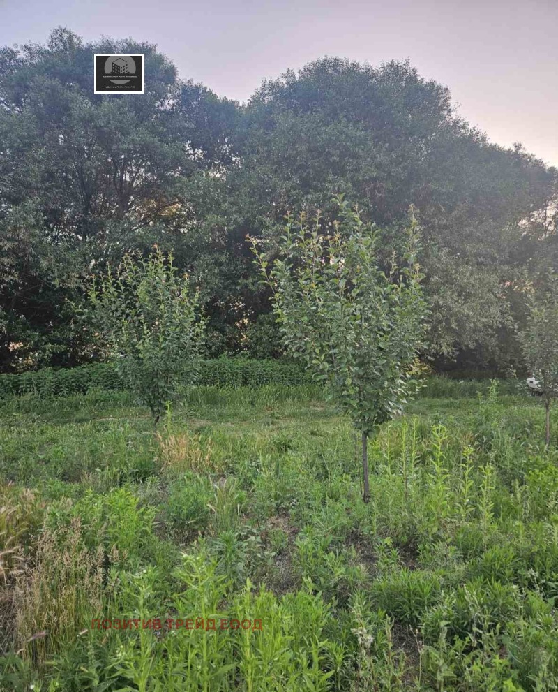 Zu verkaufen  Land region Kjustendil , Schabokrat , 2.6 dka | 24839794