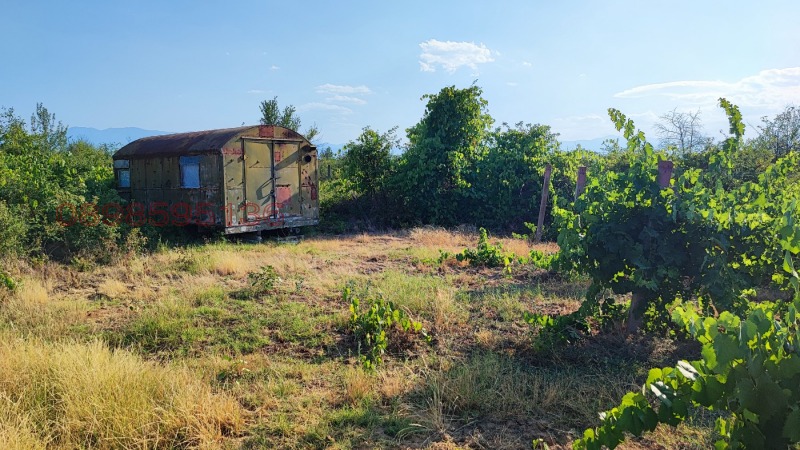 Продава  Земеделска земя област Пазарджик , с. Виноградец , 3.2 дка | 46704976 - изображение [8]