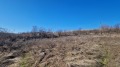 Продава ПАРЦЕЛ, с. Куцина, област Велико Търново, снимка 2