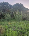 Продава ЗЕМЕДЕЛСКА ЗЕМЯ, с. Жабокрът, област Кюстендил, снимка 1