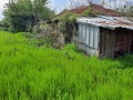 Продава КЪЩА, област Плевен, с. Обнова • 5500 € • 40455645 — Holmes.bg