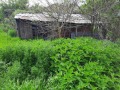 Продава КЪЩА, област Плевен, с. Обнова • 5500 € • 40455645 — Holmes.bg