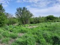Продава КЪЩА, област Плевен, с. Обнова • 5500 € • 40455645 — Holmes.bg