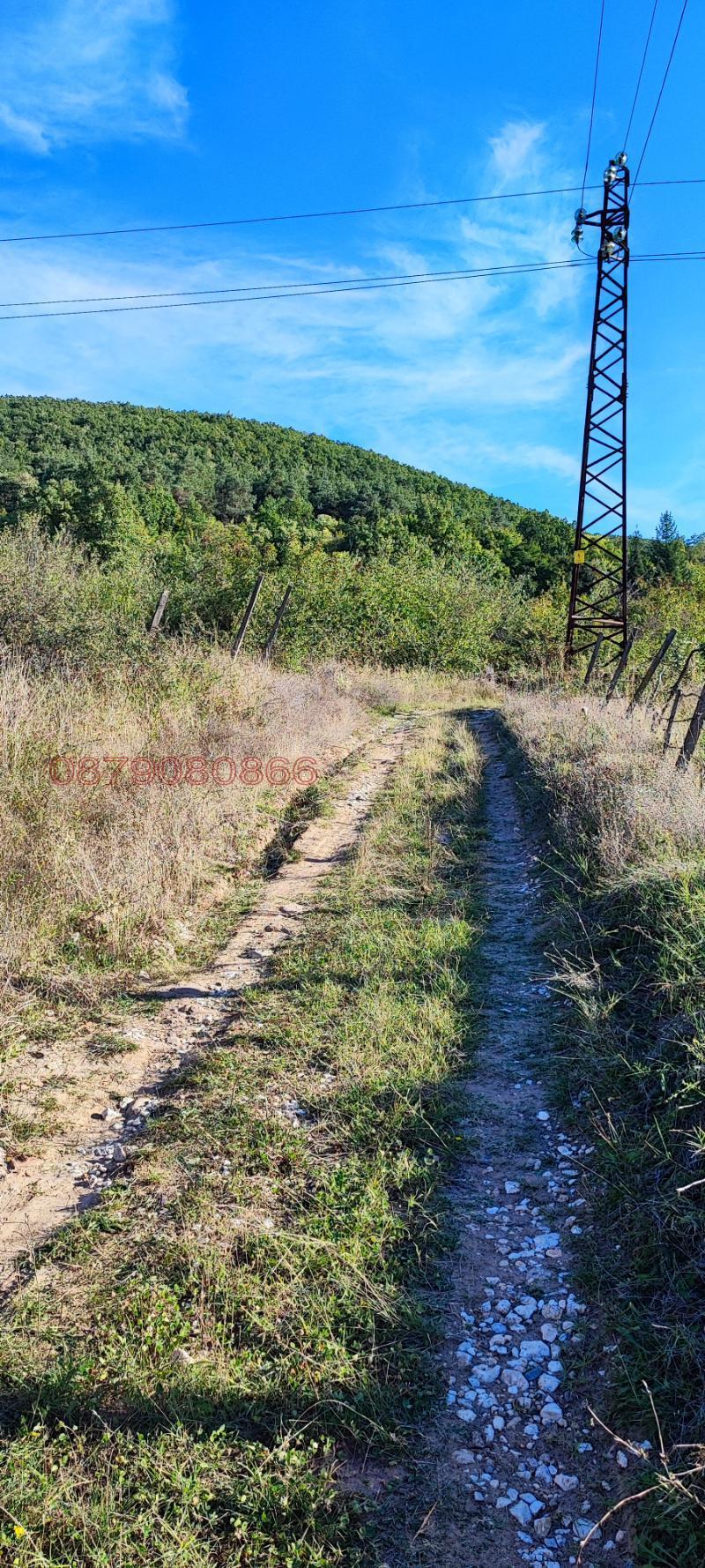Til salg  Grund region Pazardzhik , Byaga , 3000 kvm | 64007492 - billede [13]