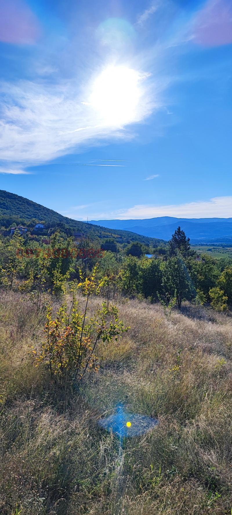 Til salg  Grund region Pazardzhik , Byaga , 3000 kvm | 64007492 - billede [3]