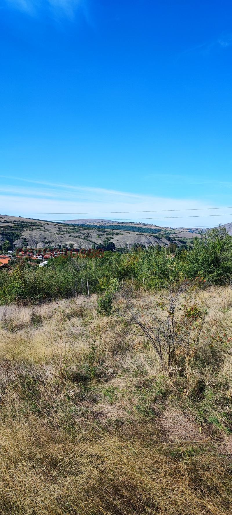 Til salg  Grund region Pazardzhik , Byaga , 3000 kvm | 64007492 - billede [5]