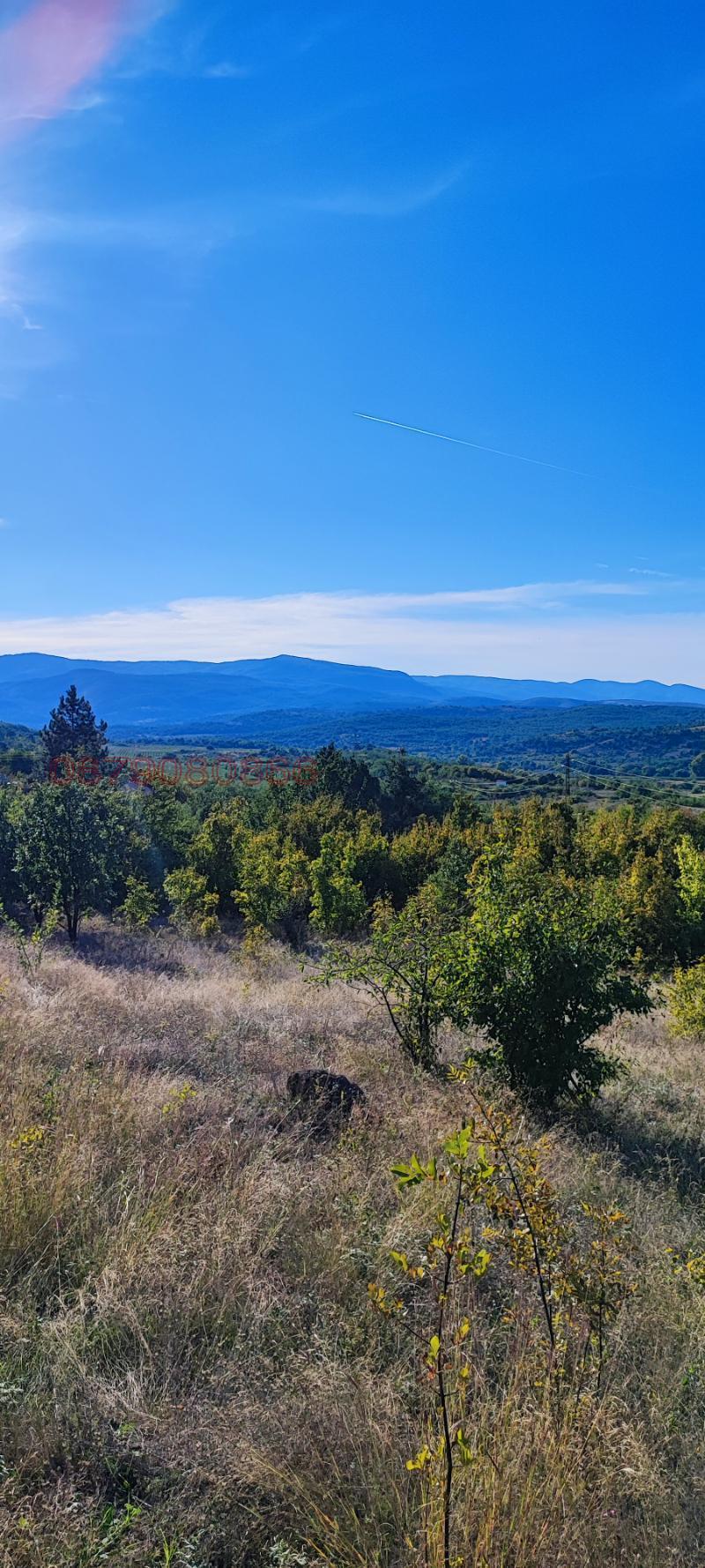 Til salg  Grund region Pazardzhik , Byaga , 3000 kvm | 64007492 - billede [2]